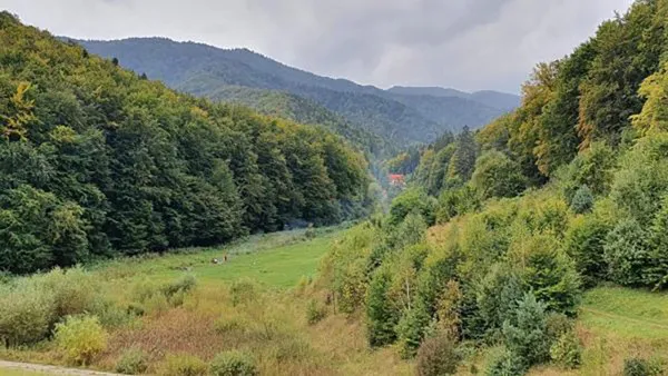 50 de refugiați din Ucraina vor curăța mizeria lăsată de brașoveni și turiști în zona „La iepure”. Acțiunea face parte din campania „Curățăm România”