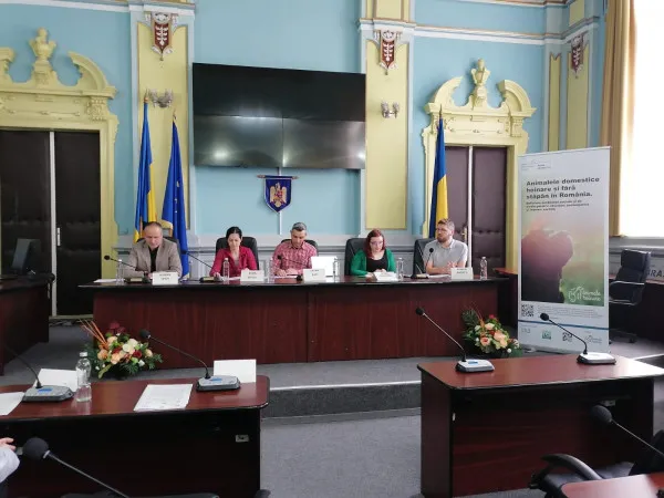 Avem o problemă: animalele hoinare 