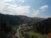 Bran: Cătuşe pentru un şofer