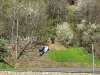 Din Botoşani, găsit mort, la Braşov