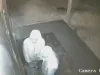 Hoţi de noapte, veniţi din Sibiu