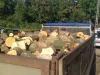 Părău: Două transporturi ilegale de lemne în 10 minute