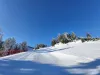 Zăpadă ca iarna în Poiana Braşov