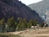 MApN vrea să recruteze 10.000 de soldaţi. Plătiţi ca în agricultură