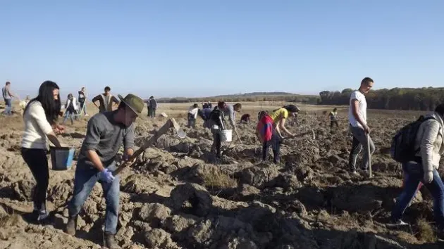 9.120 de euro pentru un hectar împădurit