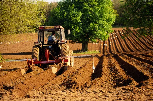 Agricultură şi industria alimentară: Salariul minim de 3.000 de lei, scutiri de impozite