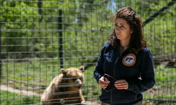 De azi, (teoretic) se aplică: Modificări la Legea de protecţie a animalelor