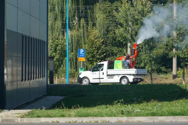 Ziua în parcuri, noaptea pe străzi