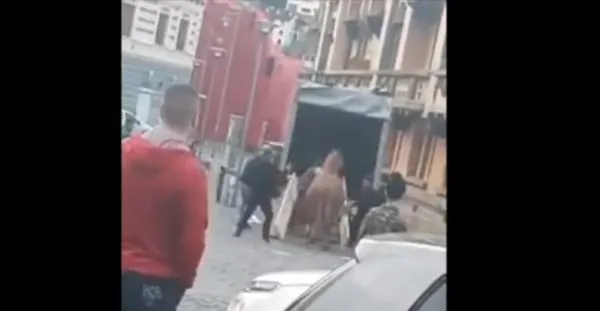 N-a fost totul frumos la Parada Junilor: I-a adus stăpânului o sumă frumuşică şi s-a ales cu o bătaie