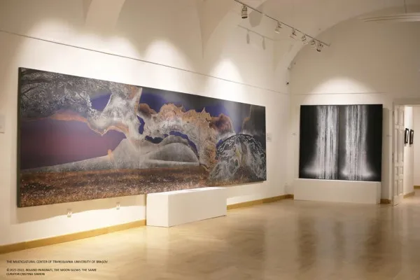Picturi în acril, aur, argint şi pigment din corp de scoică, în expoziţe la Rectorat
