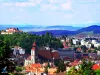Va deveni Braşovul destinaţia „City-Break” a anului? Votează aici
