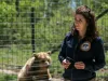 De azi, (teoretic) se aplică: Modificări la Legea de protecţie a animalelor