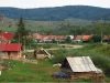 Buneştiul este în căutarea unui operator de salubritate