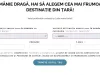 Va fi Braşov, Târgovişte sau Iaşi