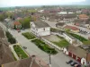 Hălchiu: În conflict de interese, din cauza păşunii comunale