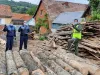 Gater din Făgăraş, amendat cu peste 10.000 de lei, după un control al Gărzii Forestiere