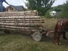 Părău şi Vulcan: Unul fura cu căruţa, altul cu maşina