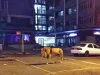 „Nu vă pozaţi cu el!”