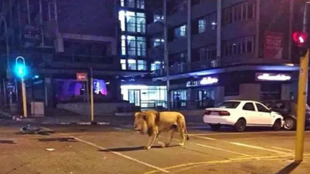„Nu vă pozaţi cu el!”