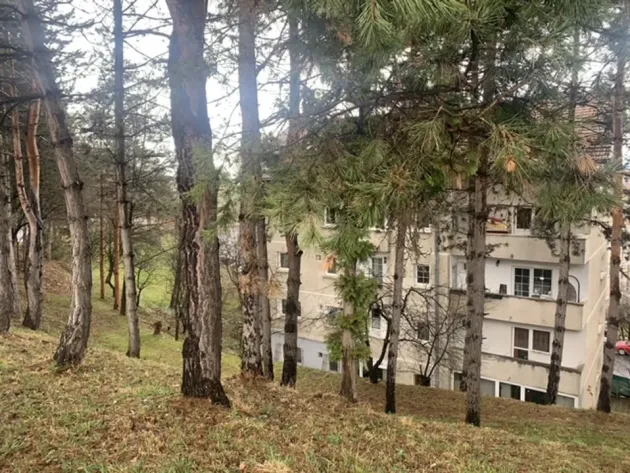 Asta e adevărata „capitală verde” 