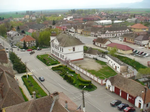 Hălchiu: În conflict de interese, din cauza păşunii comunale