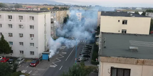 Ziua - la sol, noaptea - în aer: O nouă campanie de combatere a ţânţarilor în Braşov 
