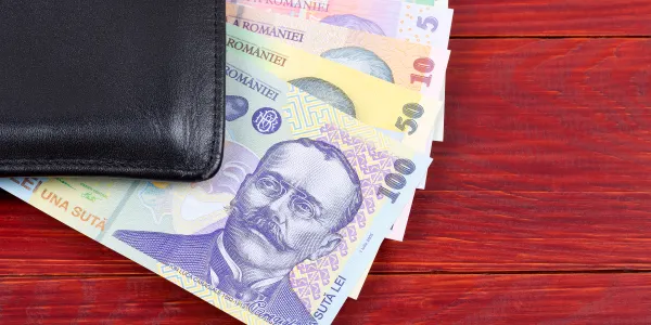 Alegerea unui credit de nevoi personale potrivit venitului nostru lunar