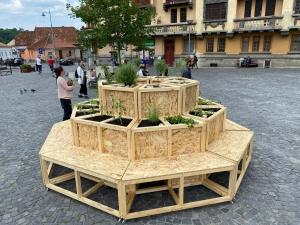 „Ghiveciul aromatic” din Piaţa Unirii din Braşov ar putea fi mutat