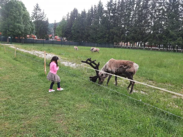 Vama Buzăului, un alt colţ de rai al Braşovului