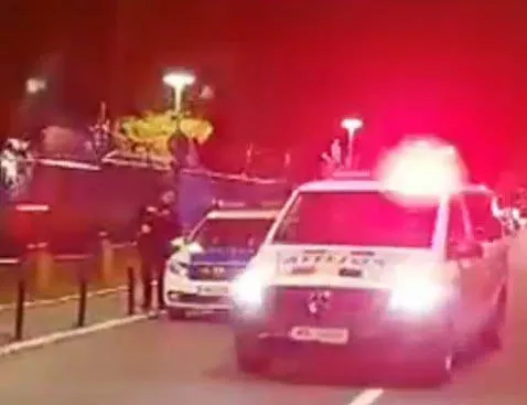 Mafia Braşov - Cluj – Sălaj: Pariuri cu câini, goleau conturi din SUA