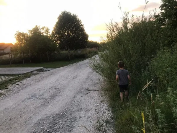 Din seria „Braşovul verde”