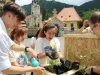 Grădină de plante aromatice, în Piaţa Unirii