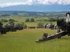 „Front” românesc la Cincu: 1.500 de militari, 300 de tancuri