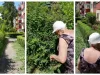 O lecţie pentru Coliban, de la o braşoveancă de 76 de ani