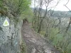 Cele 24 de serpentine de pe Tâmpa ar putea intra în reabilitare