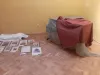 Surprize de la Casa Mureşenilor