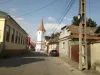Tărlungeni: 22 de ani, prinsă la volan cu permisul deja suspendat