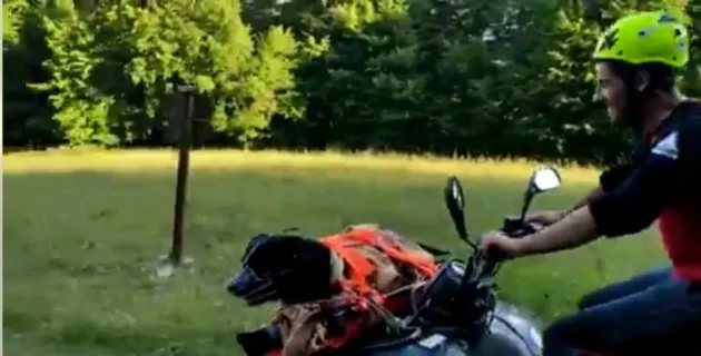 Pacient şi „pacient”