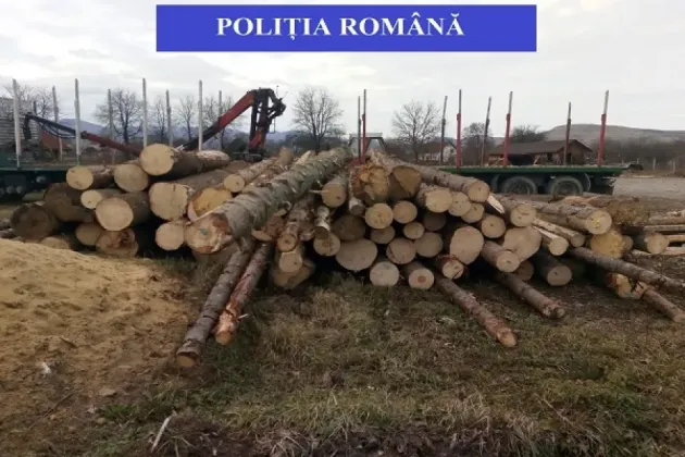 Razie silvică şi la Şinca Nouă, Şinca Veche şi Poiana Mărului