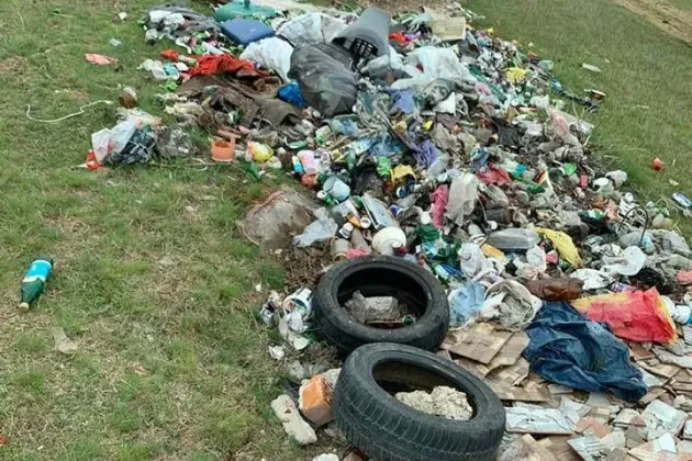 Patrulă „Zero plastic” la Braşov