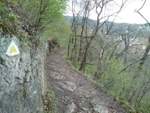 Cele 24 de serpentine de pe Tâmpa ar putea intra în reabilitare