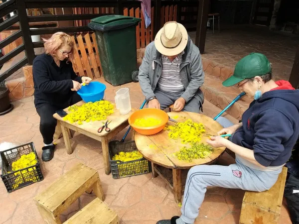 Produs în Munţii Făgăraş: Dulceaţă de liliac şi de păpădie, în serie limitată