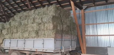 Un sibian a furat 100 de kilograme de lucernă de la Sâmbăta de Sus
