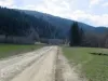 Drumul din Valea Doftanei, gata în cinci ani