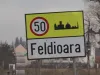 19 ani din Feldioara, un tâlhar „uituc”