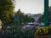 Azi se stropesc trandafirii şi plantaţiile de buxus