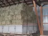 Un sibian a furat 100 de kilograme de lucernă de la Sâmbăta de Sus