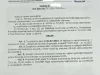 „Marea vânătoare”