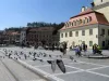 Păsările Braşovului şi ale nimănui. Cum ajuţi porumbeii, mierlele şi alte păsări sălbatice care suferă şi ele acum din cauza caniculei – sfat de la un profesor de la Facultatea de Silvicultură
