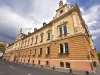 Primăria Braşov vrea să cumpere trei maşini electrice